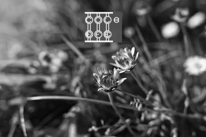 Code Of Life BRK フォント examples