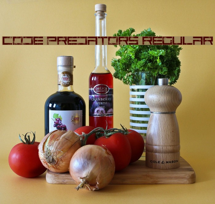 Code Predators Regular Example 2