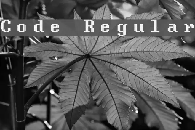 Code Regular Font examples