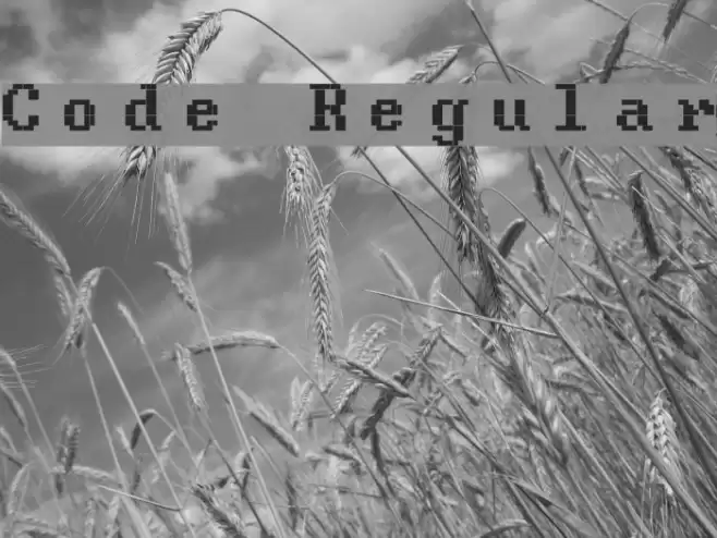 Code Regular Font examples