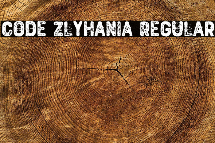 Code Zlyhania Regular Example 2