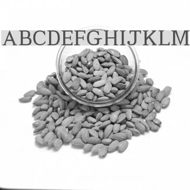 Code2000 Fonte examples