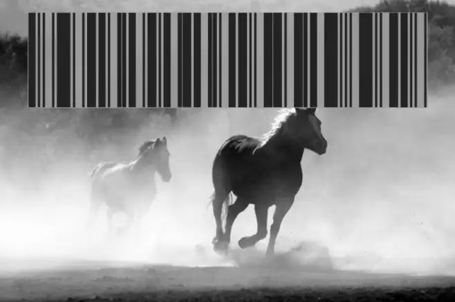 Code39 Regular Schriftart examples