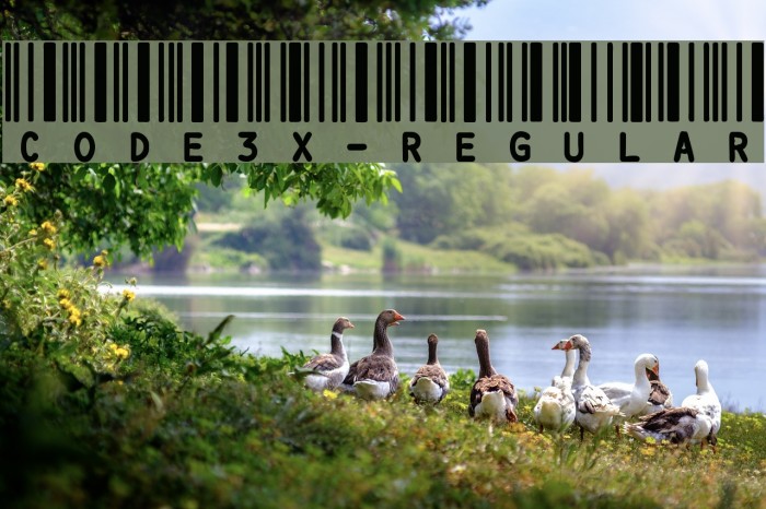 Code3X-Regular لخطوط تنزيل examples