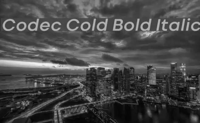 Codec Cold Bold Italic Font examples