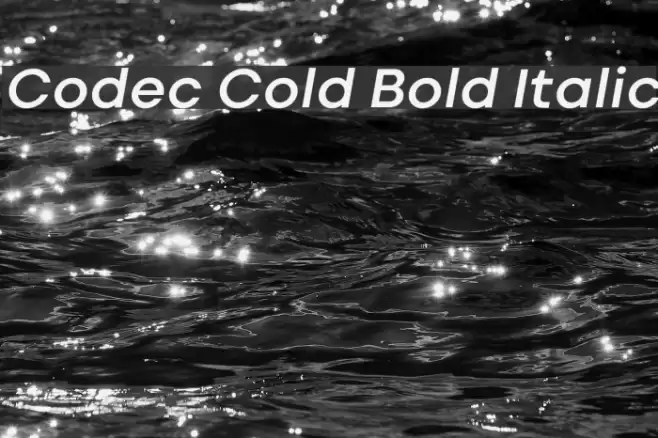 Codec Cold Bold Italic Font examples