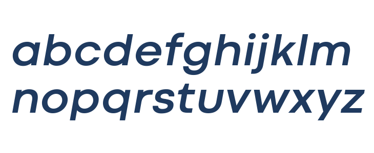 Codec Cold Bold Italic Lowercase