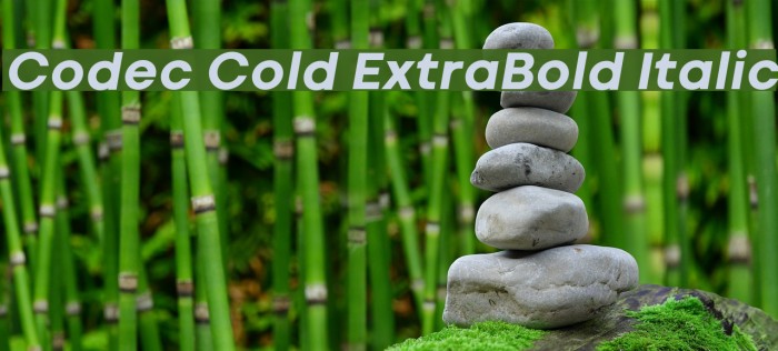 Codec Cold ExtraBold Italic Example 1