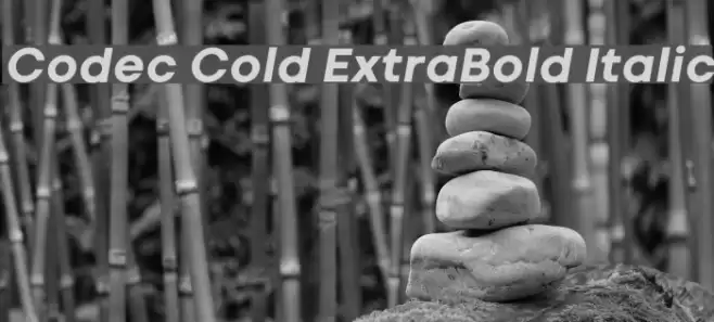 Codec Cold ExtraBold Italic Font examples