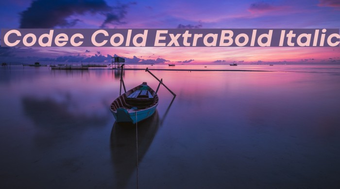 Codec Cold ExtraBold Italic Example 3
