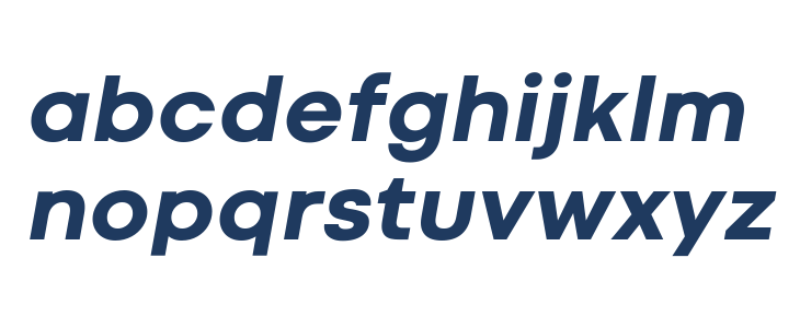 Codec Cold ExtraBold Italic Lowercase