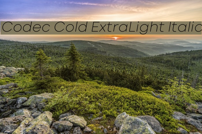 Codec Cold ExtraLight Italic Font examples