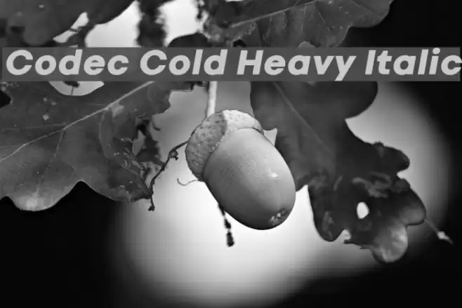 Codec Cold Heavy Italic Font examples
