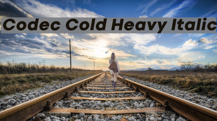 Codec Cold Heavy Italic Font examples