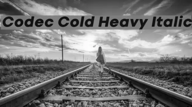 Codec Cold Heavy Italic Font examples