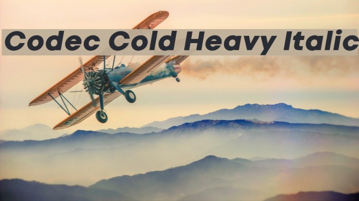 Codec Cold Heavy Italic Font examples