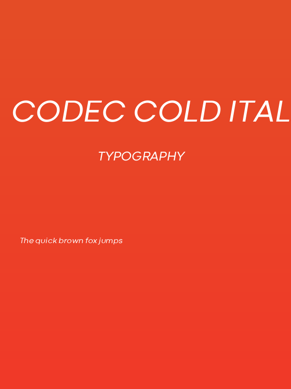 Codec Cold Italic Poster