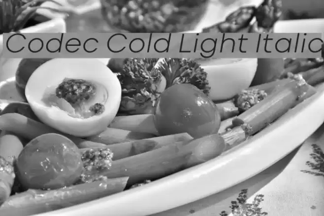 Codec Cold Light Italic Font examples