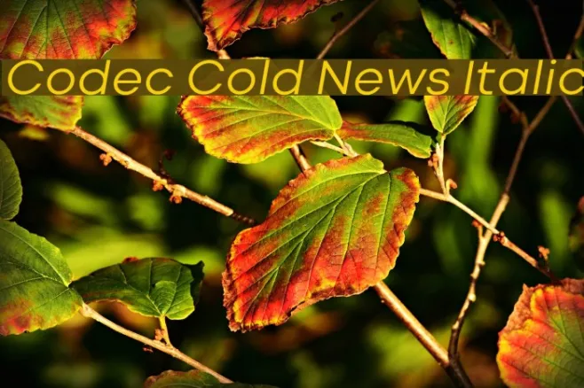 Codec Cold News Italic Example 1