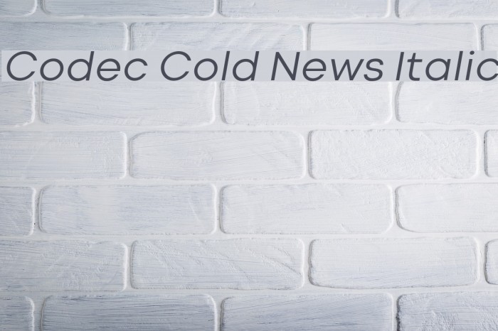 Codec Cold News Italic Font examples