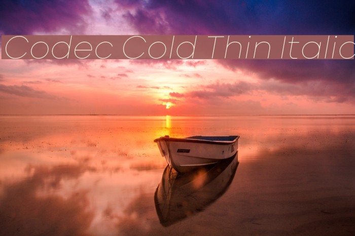 Codec Cold Thin Italic Font examples