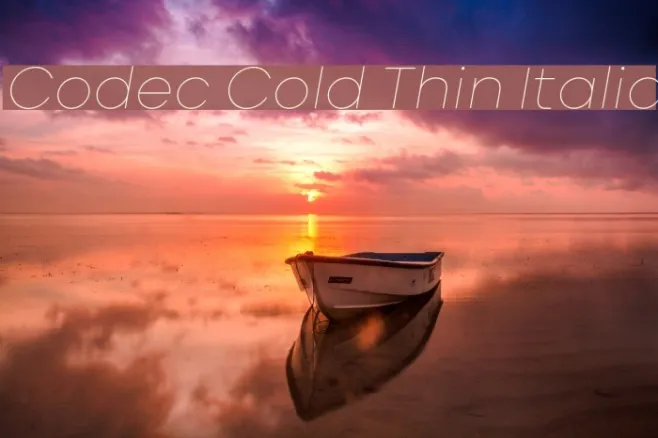 Codec Cold Thin Italic Example 1