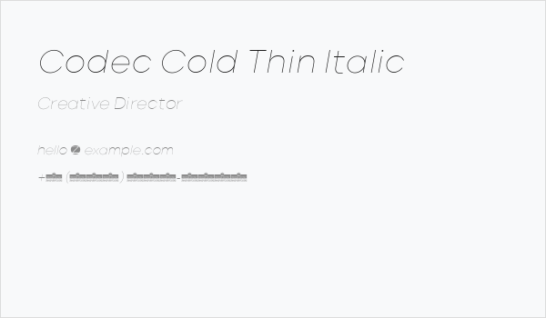 Codec Cold Thin Italic Business Card