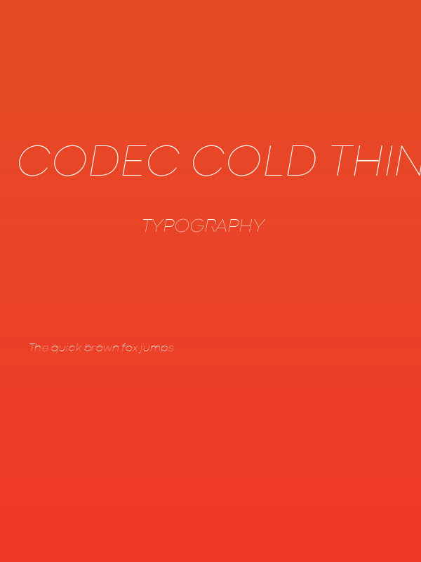 Codec Cold Thin Italic Poster