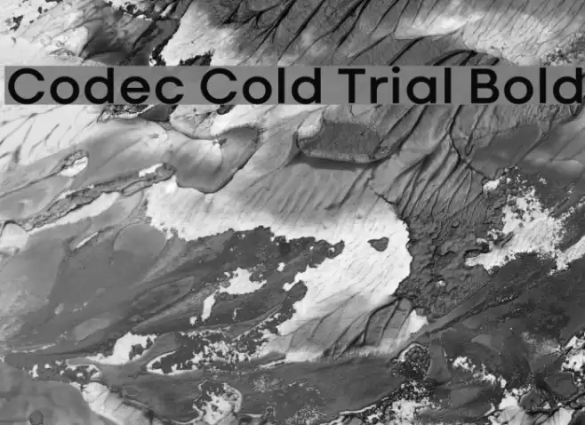 Codec Cold Trial Bold Font examples