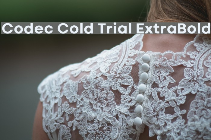 Codec Cold Trial ExtraBold Schriftart examples