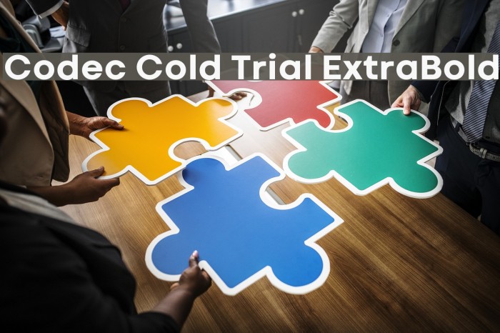 Codec Cold Trial ExtraBold Schriftart examples