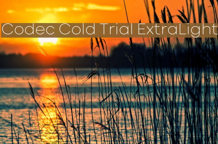 Codec Cold Trial ExtraLight Font examples