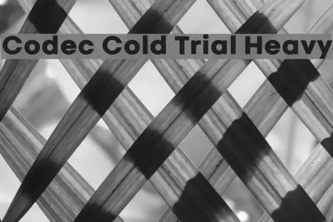 Codec Cold Trial Heavy Font examples