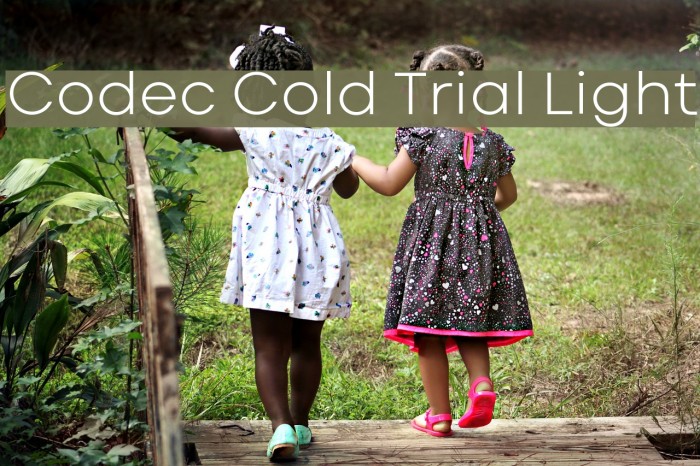 Codec Cold Trial Light Font examples