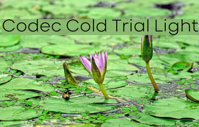 Codec Cold Trial Light Font examples