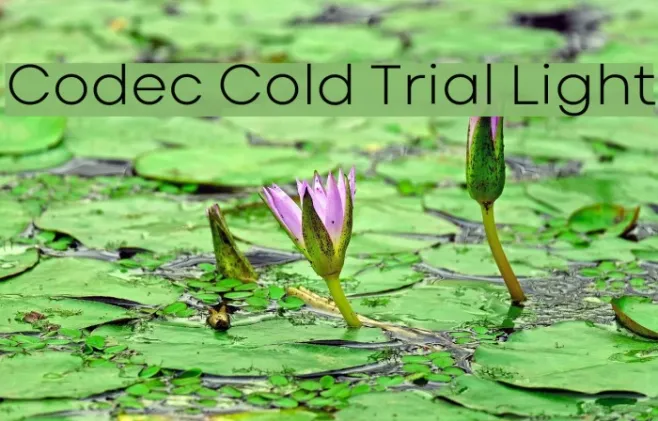 Codec Cold Trial Light Example 3
