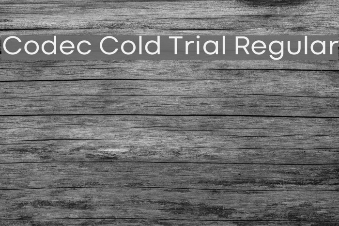 Codec Cold Trial Regular Font examples