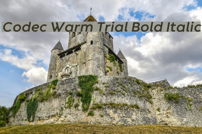 Codec Warm Trial Bold Italic Font examples