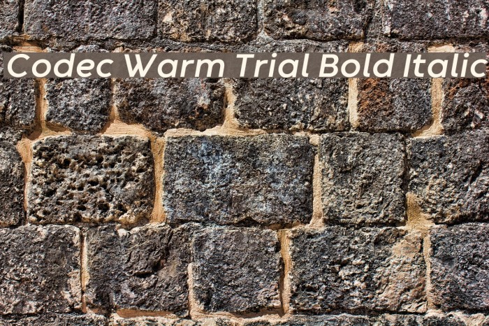 Codec Warm Trial Bold Italic Font examples