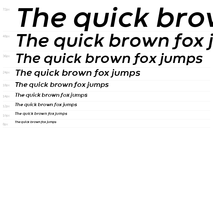 Codec Warm Trial Bold Italic Waterfall