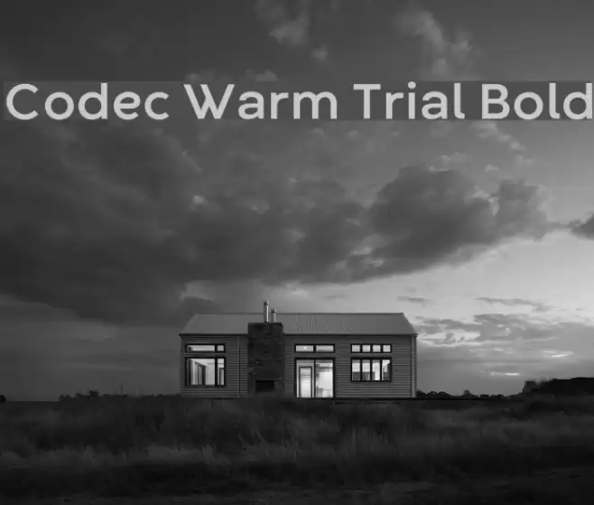 Codec Warm Trial Bold Font examples