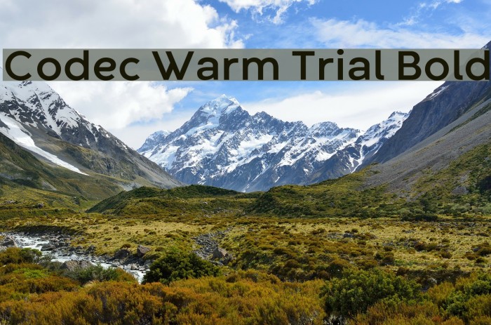 Codec Warm Trial Bold Font examples