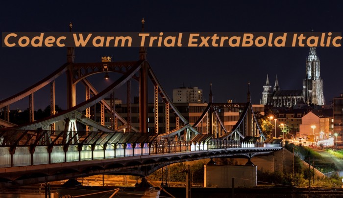 Codec Warm Trial ExtraBold Italic Font examples