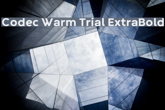 Codec Warm Trial ExtraBold Font examples