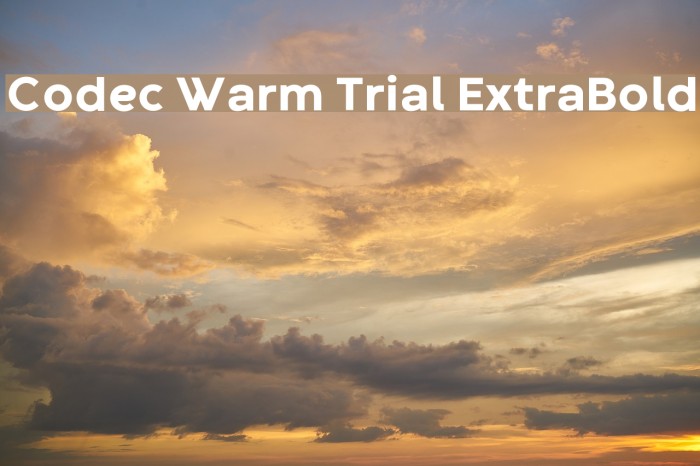 Codec Warm Trial ExtraBold Font examples