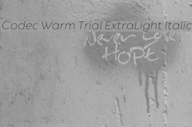 Codec Warm Trial ExtraLight Italic Font examples