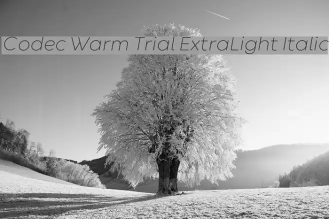 Codec Warm Trial ExtraLight Italic Font examples