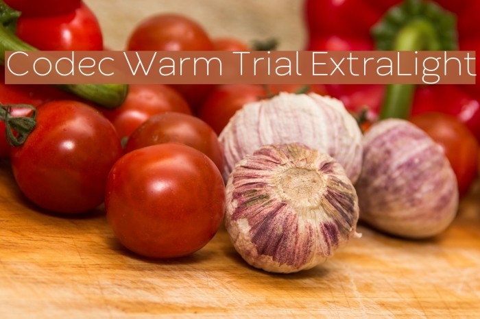 Codec Warm Trial ExtraLight Font examples