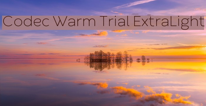 Codec Warm Trial ExtraLight Font examples