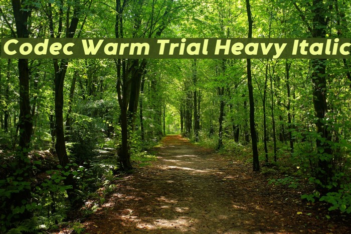 Codec Warm Trial Heavy Italic Font examples